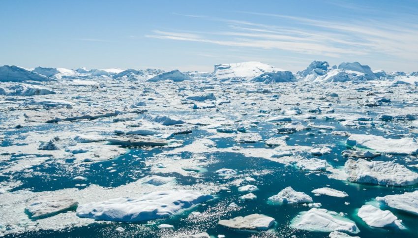 Grönland Buz Levhası’nda dev virüsler keşfedildi: Buzul erimelerini önleyebilir