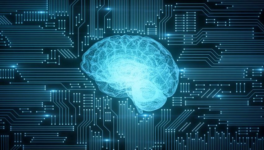 İnsan beyninden “yaşayan bilgisayar” üretildi