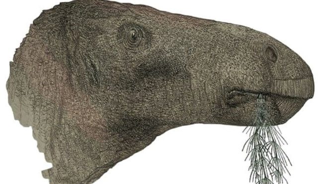 125 milyon yıllık otçul dinozor keşfedildi: Bölgede bulunan en eksiksiz fosil!