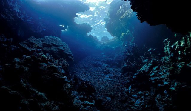 Bilim insanları okyanus derinliklerinde gizemli karanlık oksijen keşfetti