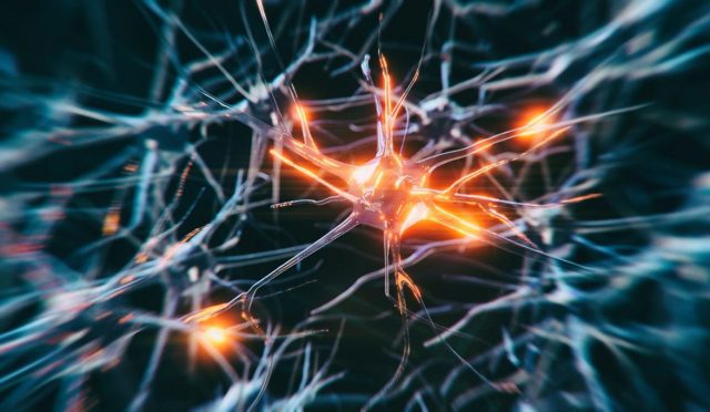 Kelime anlamlarını belirleyen nöronlar keşfedildi: Yeni detaylı beyin haritası