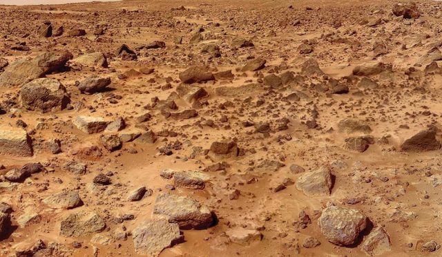 Mars'ta hayatta kalabiliyor! İnsan yaşamını başlatabilir