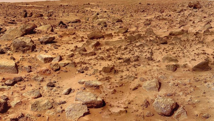 Mars’ta hayatta kalabiliyor! İnsan yaşamını başlatabilir